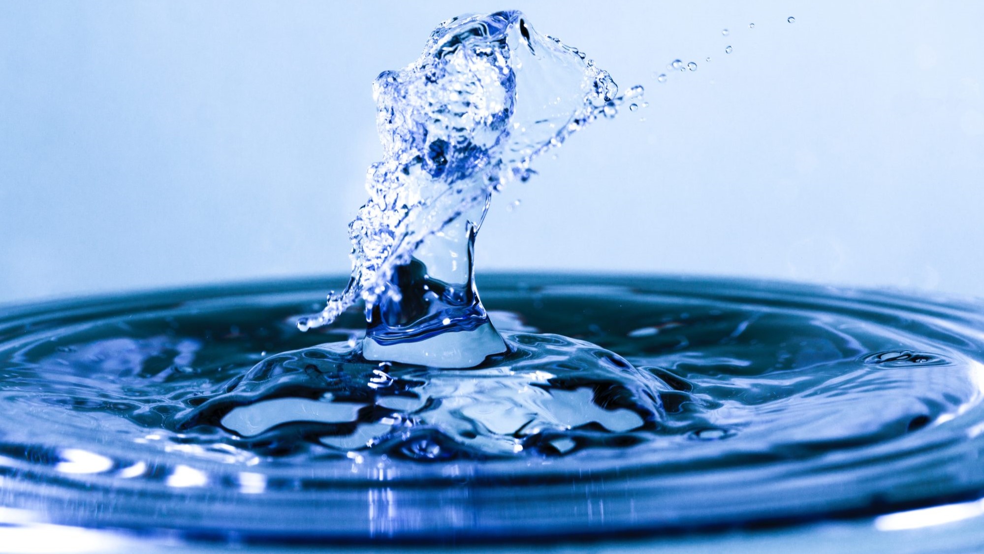 zerya agua
